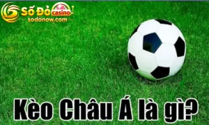 ảnh kèo châu á