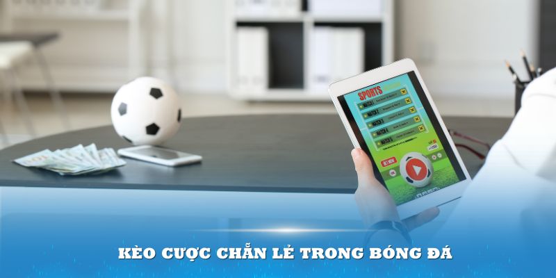 Tổng quan sơ bộ về kèo cược chẵn lẻ trong bóng đá